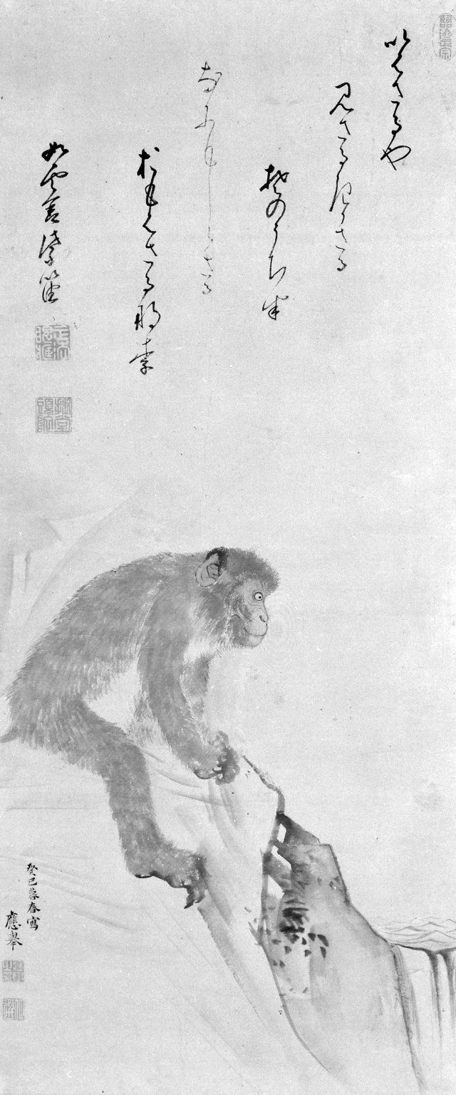 Monkey · Brooklyn Museum