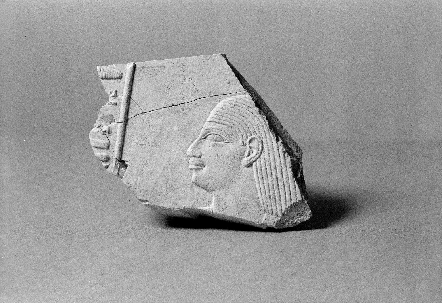 Fragment from Relief of a Nobleman