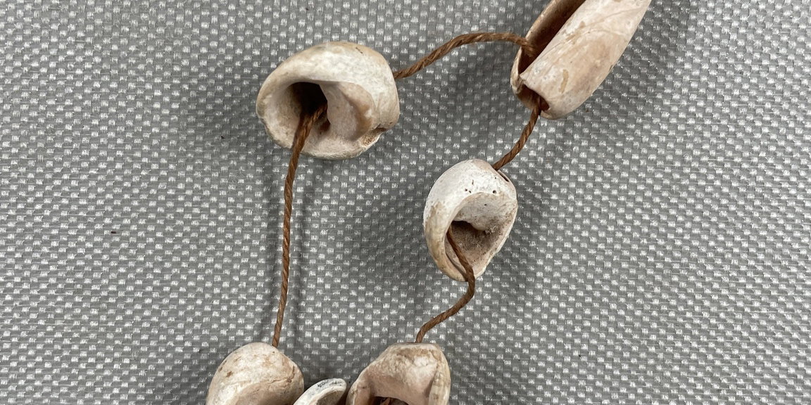 6 Shells: Pierced for Stringing · Brooklyn Museum