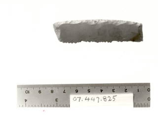 Sickle Blade