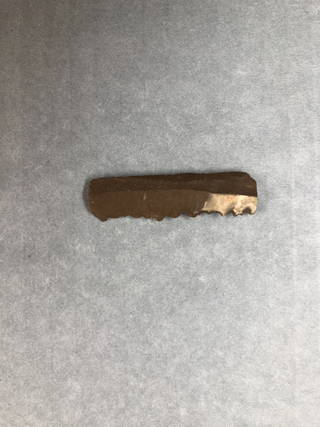 Sickle Blade