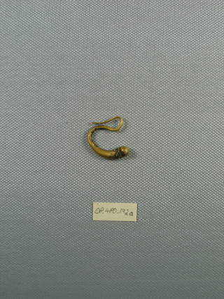 Pair of Earrings