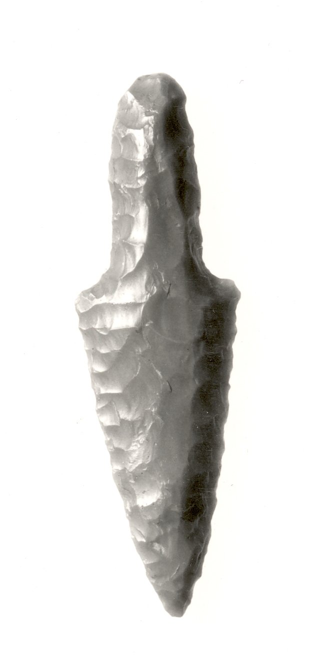 Arrowhead
