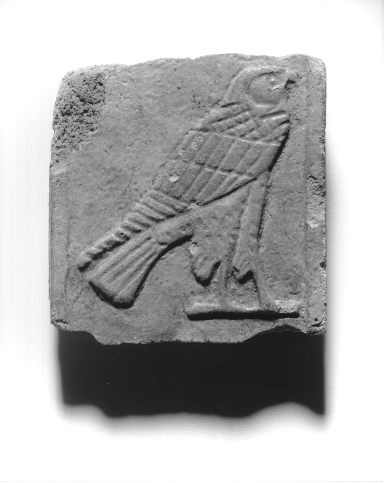 Plaque