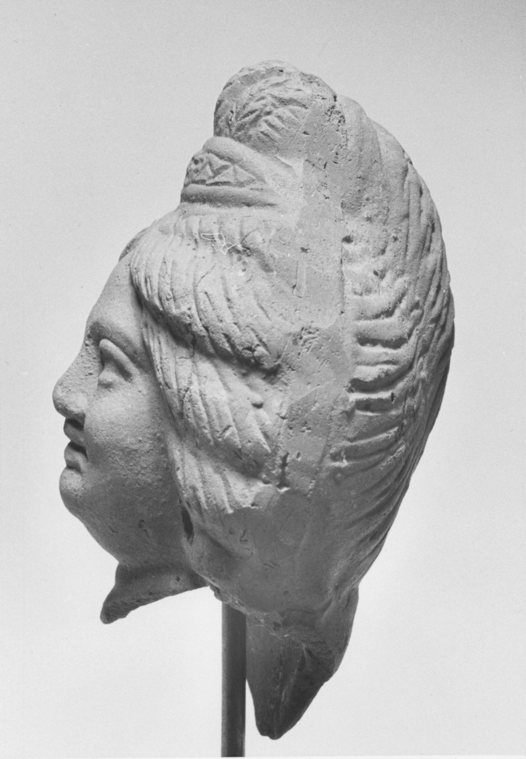 Head of Female