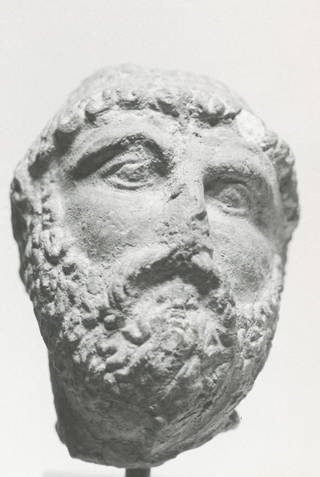 Male Portrait Head
