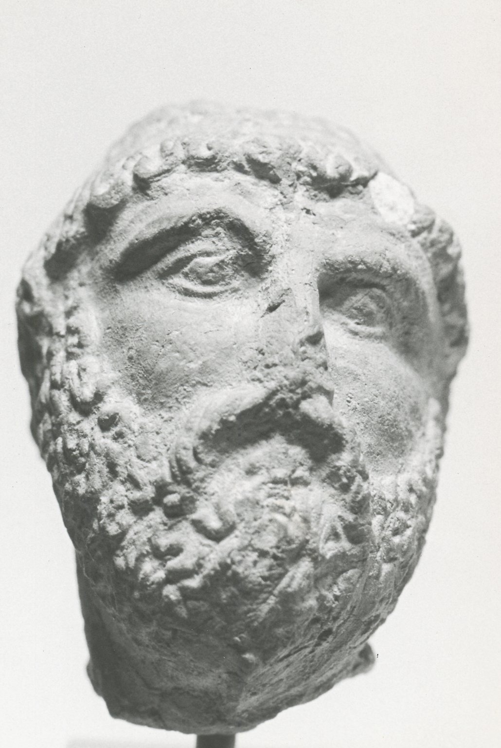 Male Portrait Head