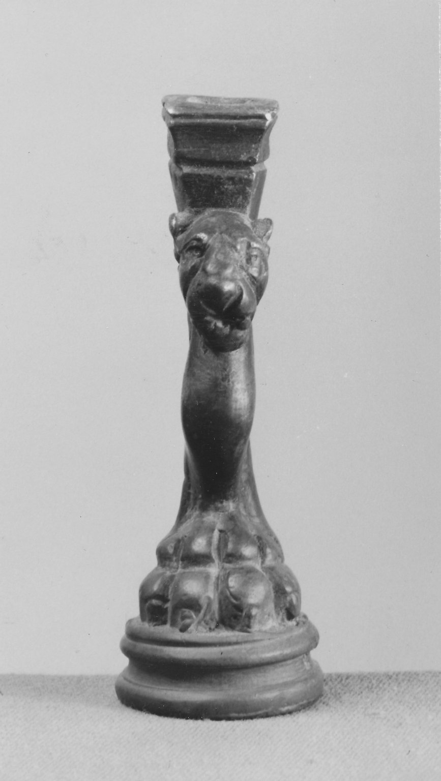 Lion Leg
