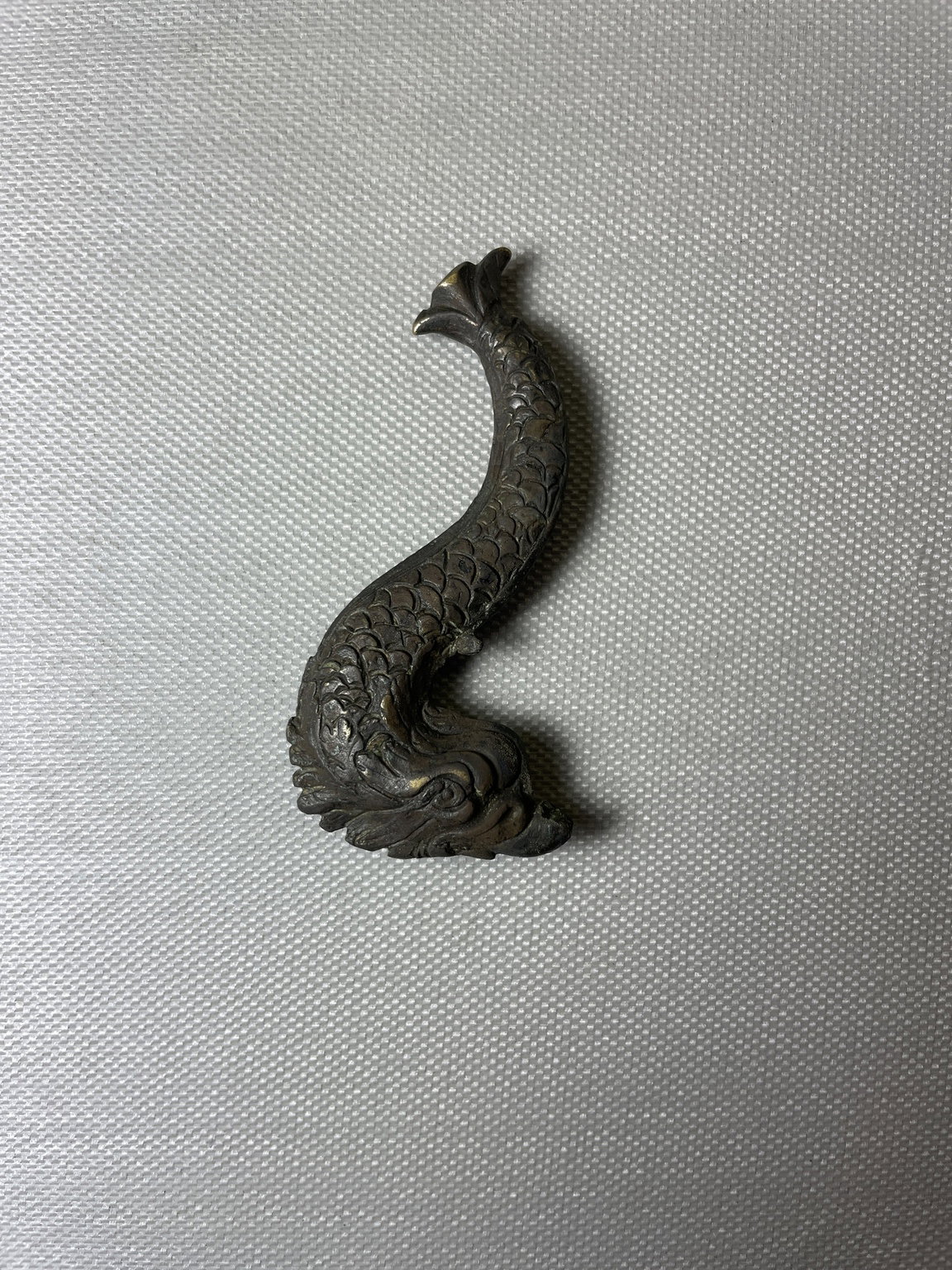 Dolphin