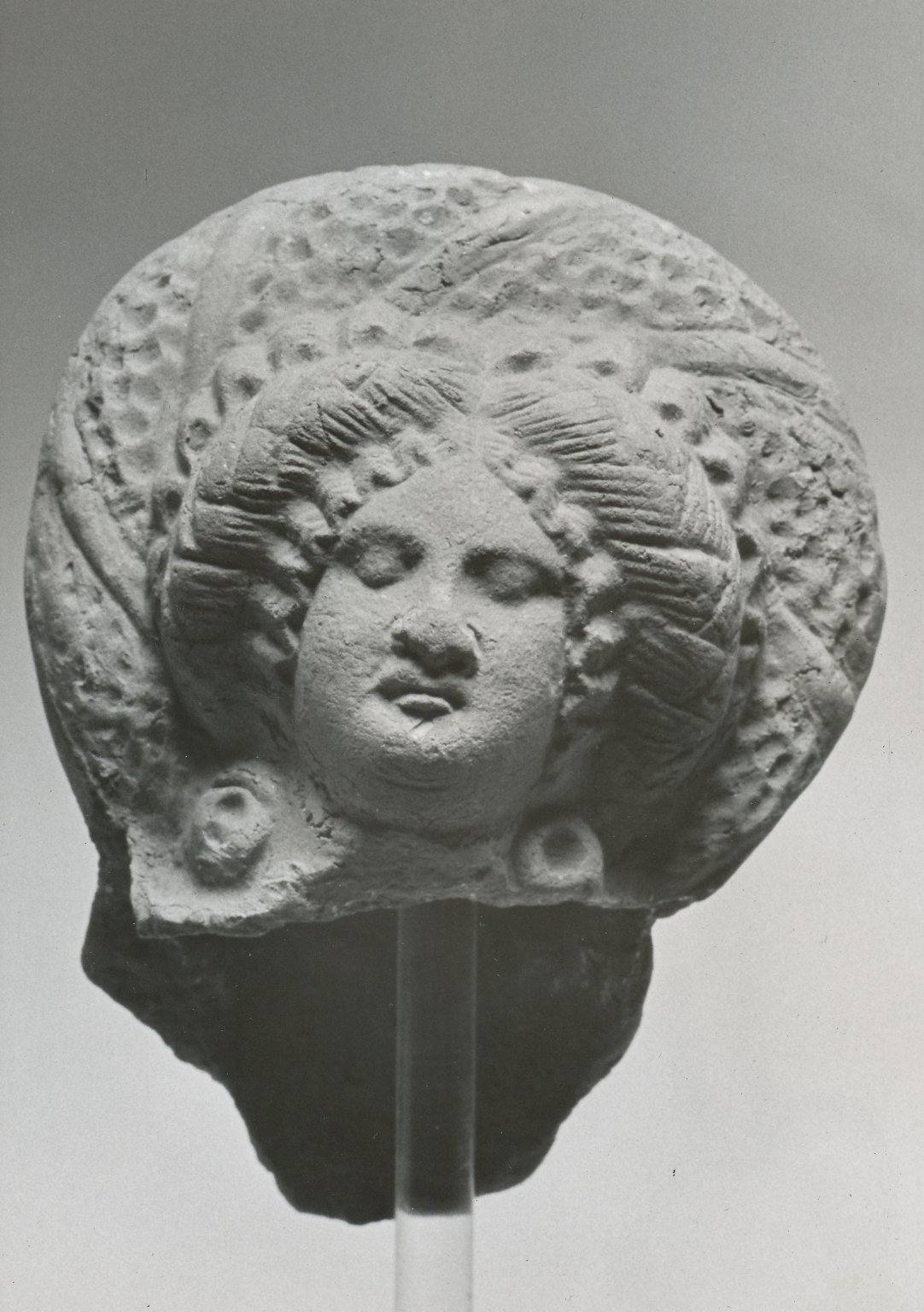 Female Head