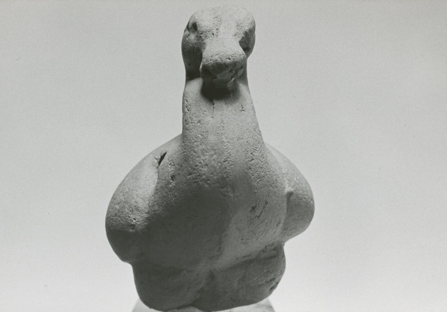 Small Duck