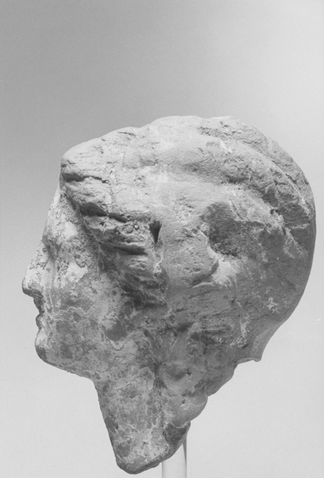 Female Head
