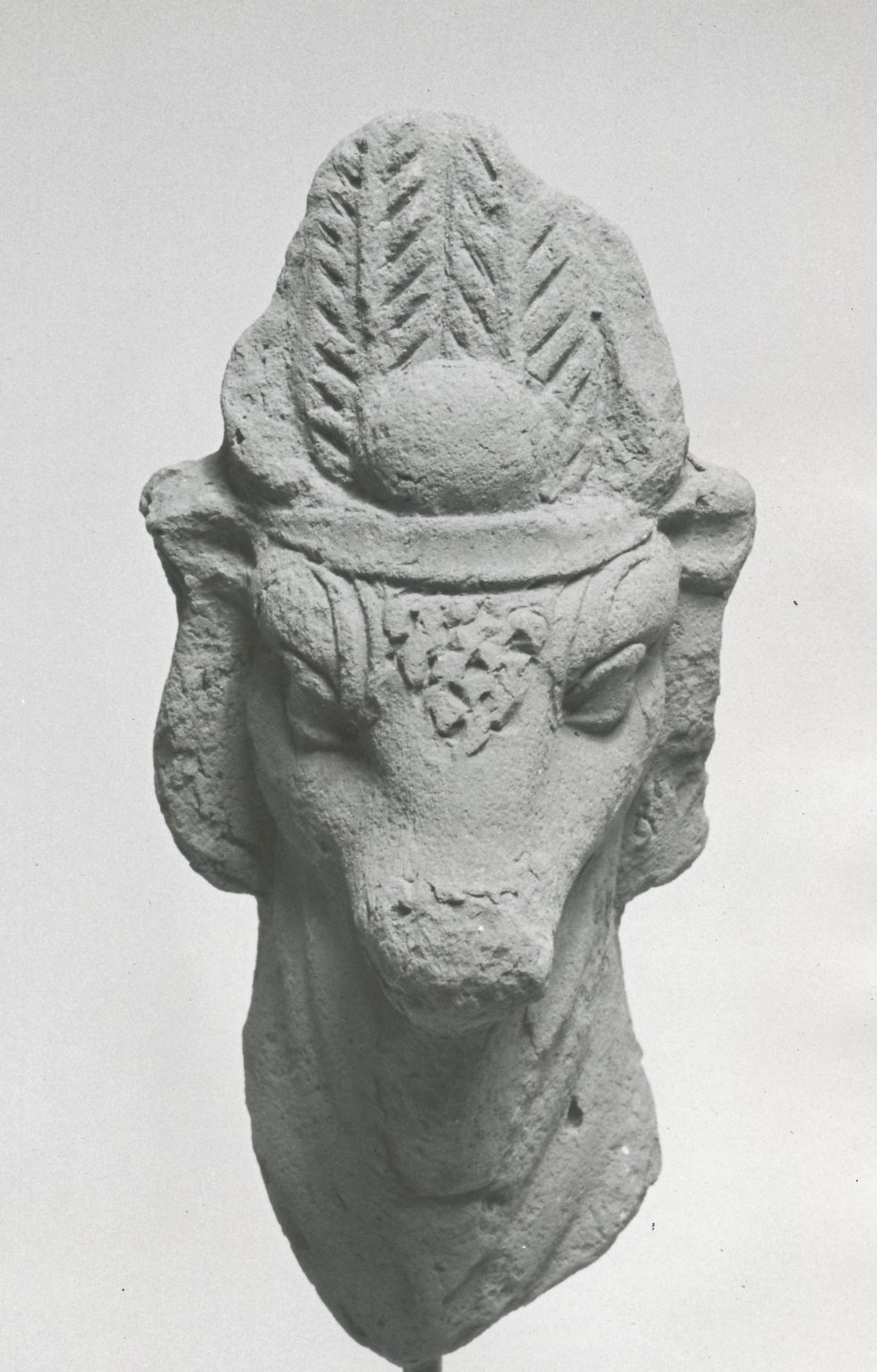 Head of a Bull