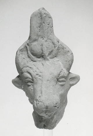 Head of a Bull