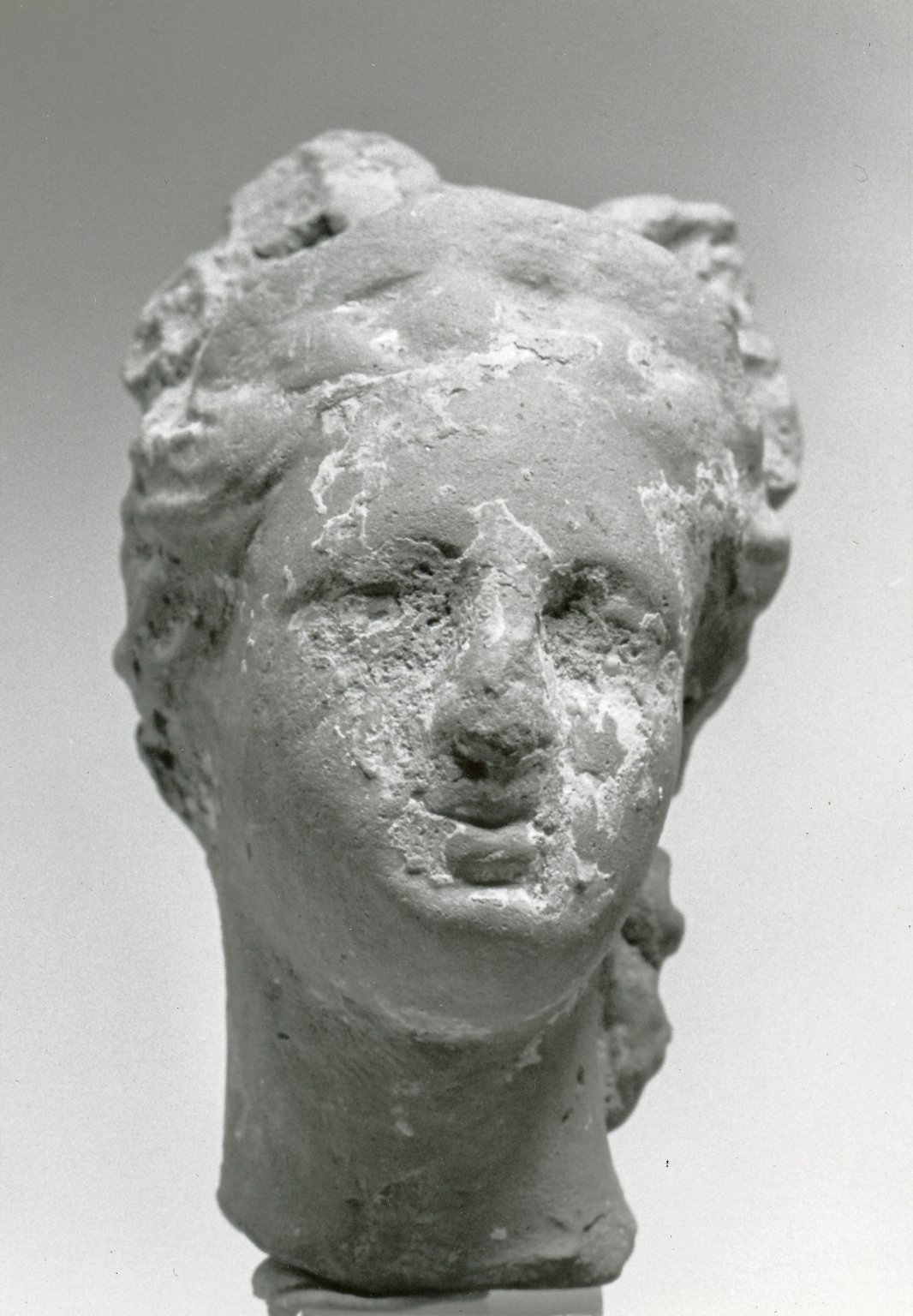 Female Head