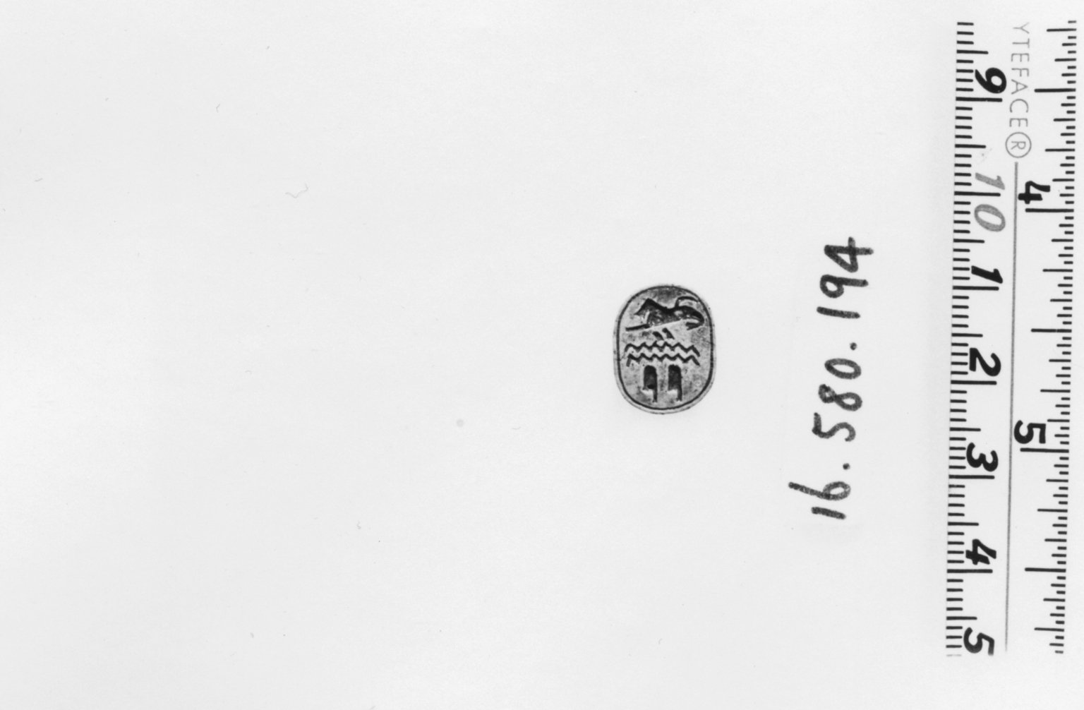 Scarab