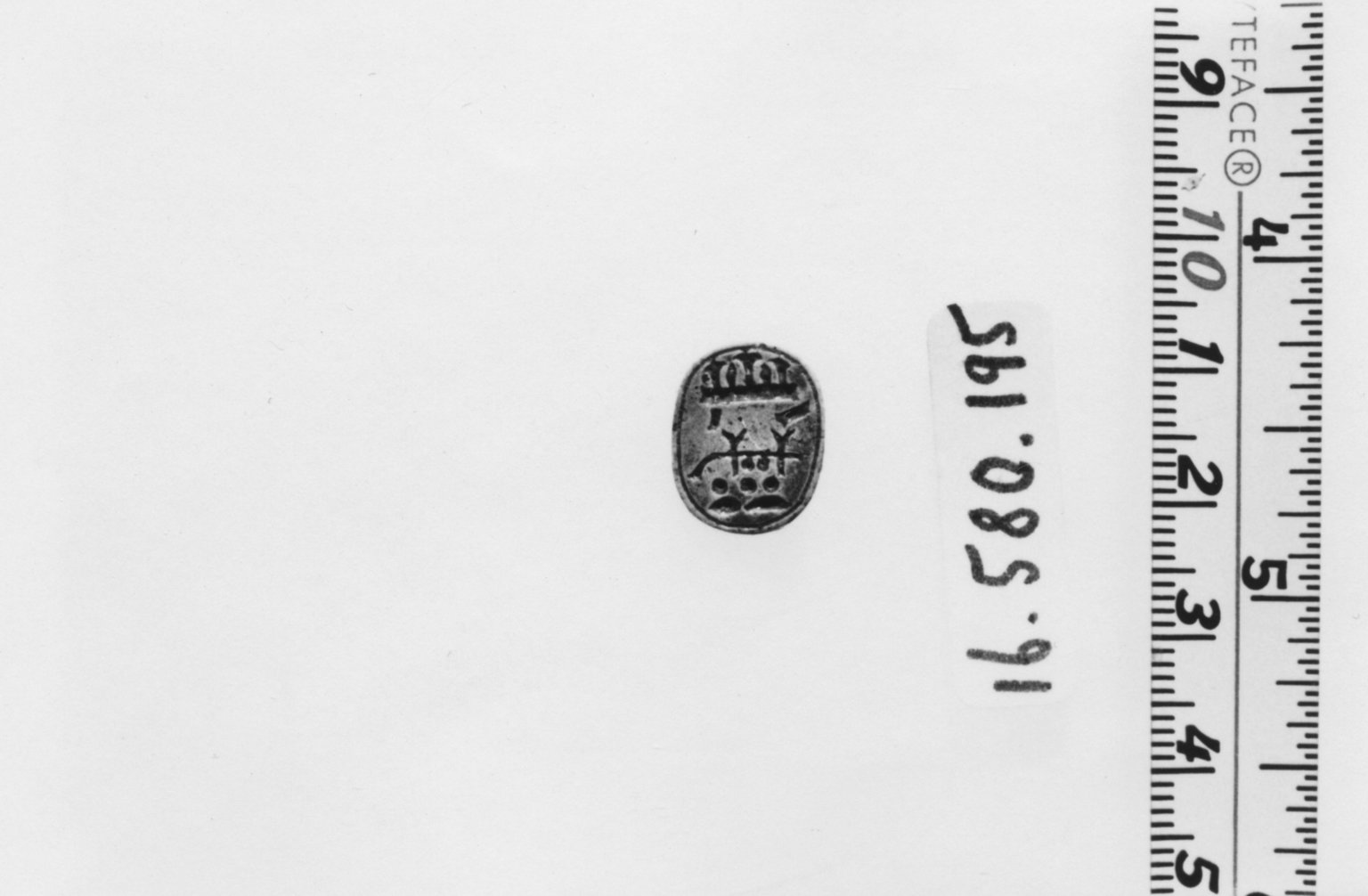 Scarab