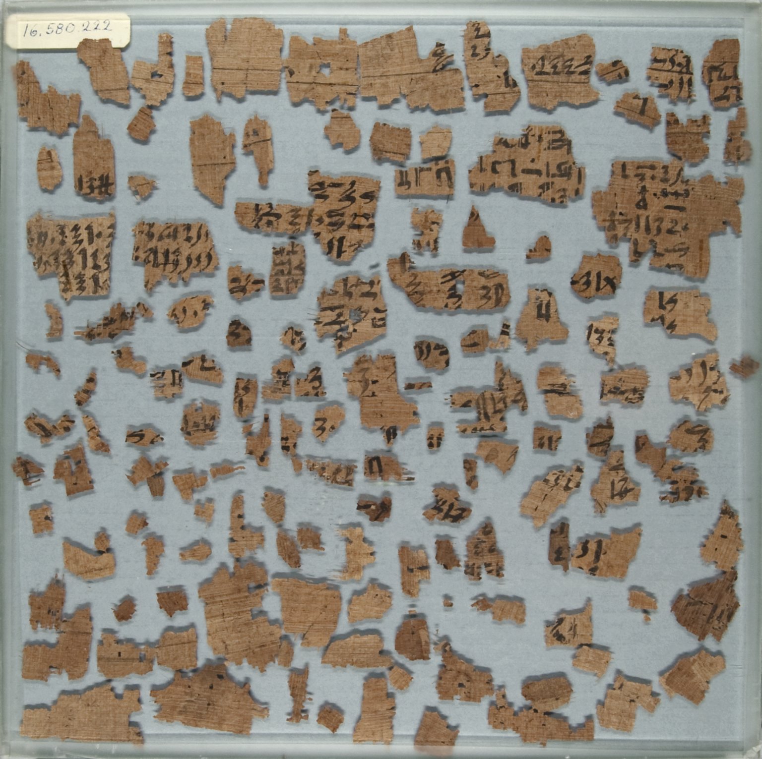 Papyrus Fragments Inscribed in Hieratic
