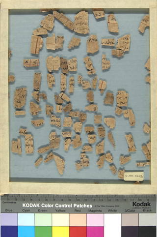 Papyrus Fragments Inscribed in Greek or Demotic