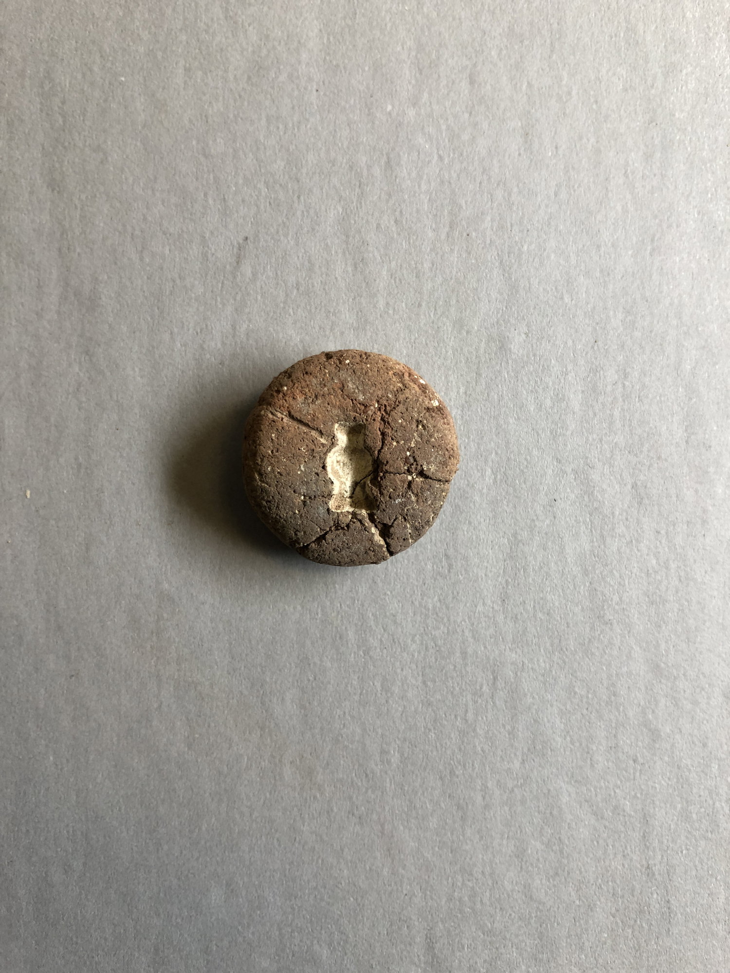 Poppy Seed Head Pendant Mold