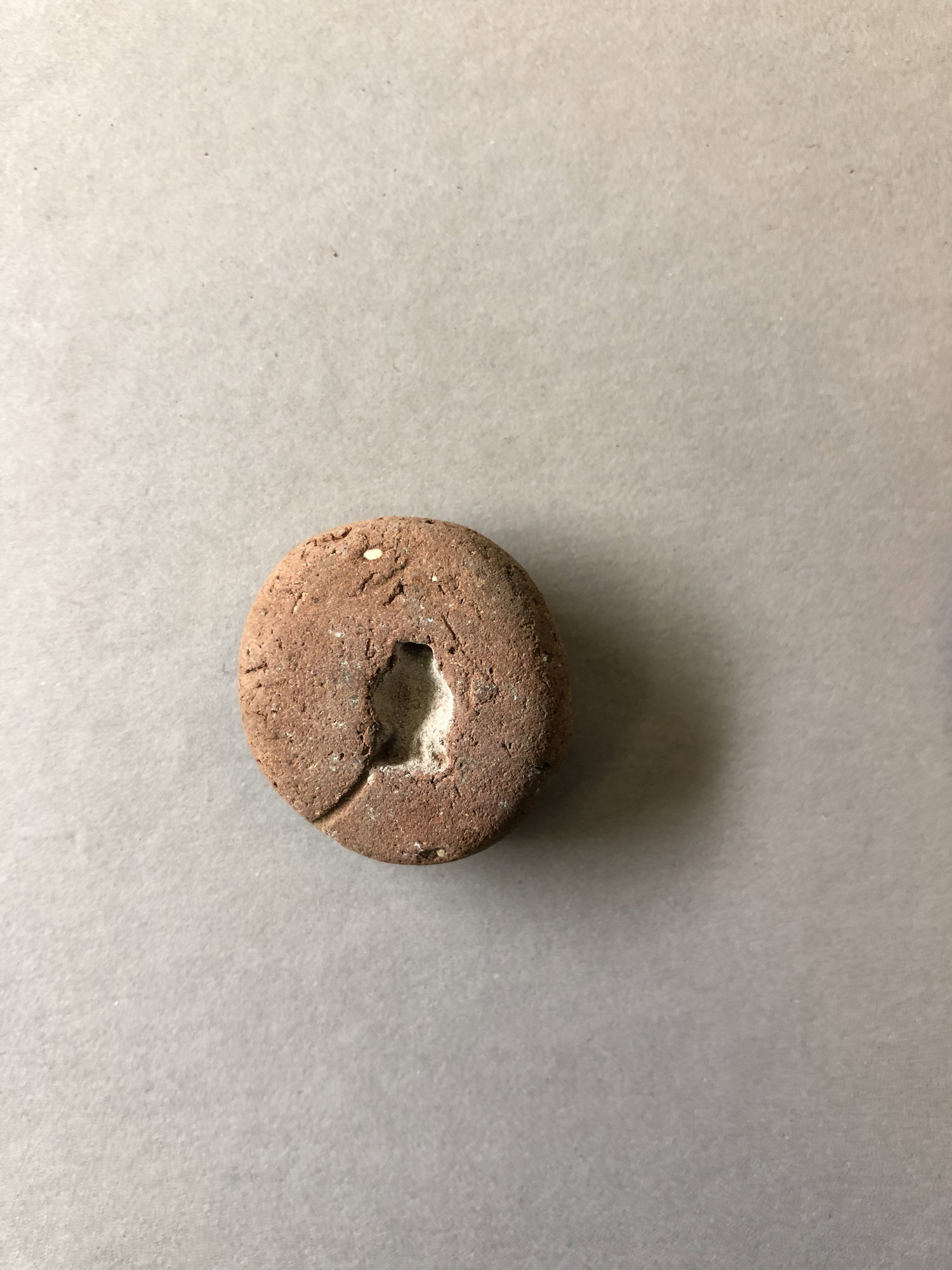 Poppy Seed Head Pendant Mold