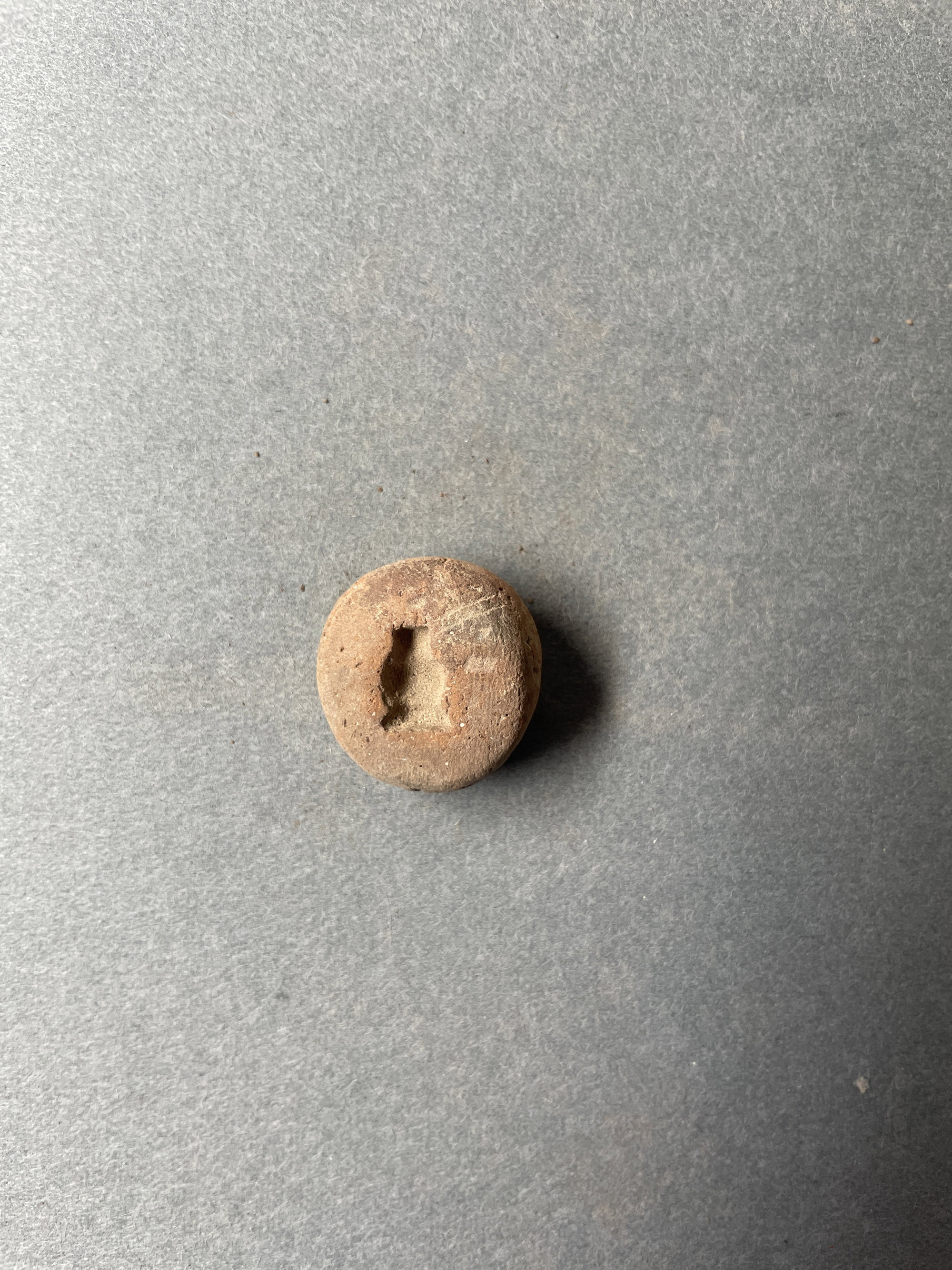 Poppy Seed Head Pendant Mold