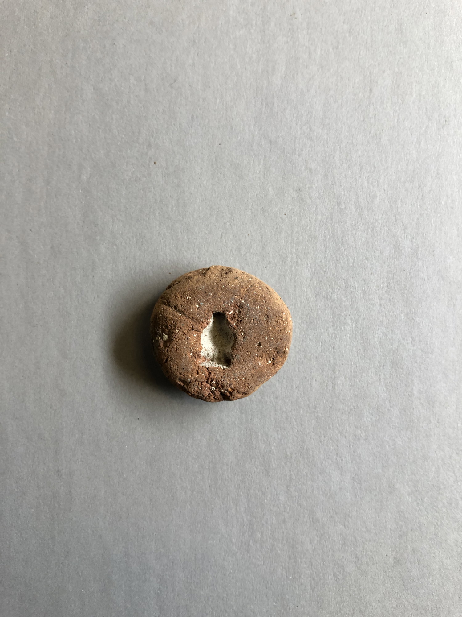 Poppy Seed Head Pendant Mold