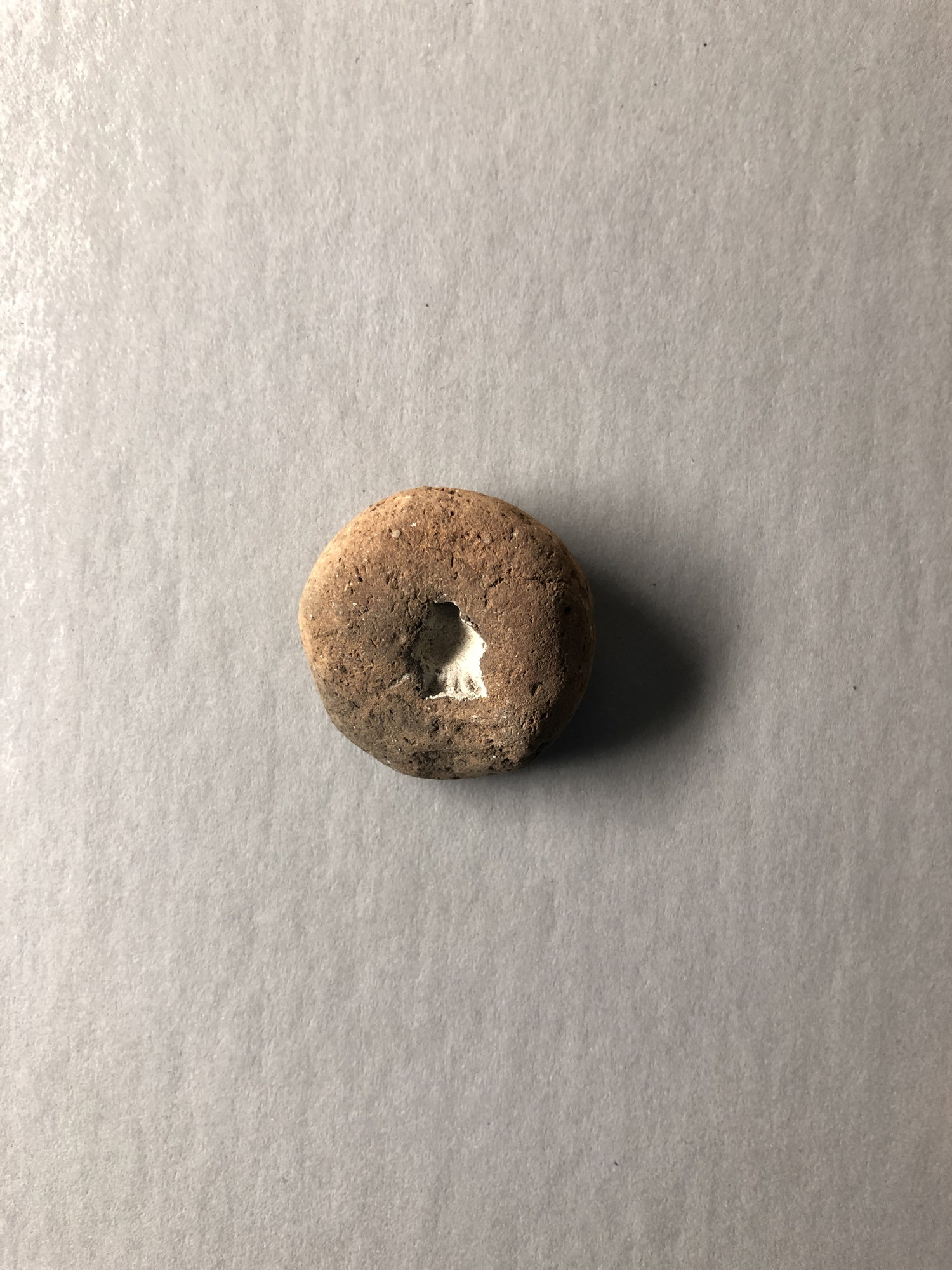 Poppy Seed Head Pendant Mold