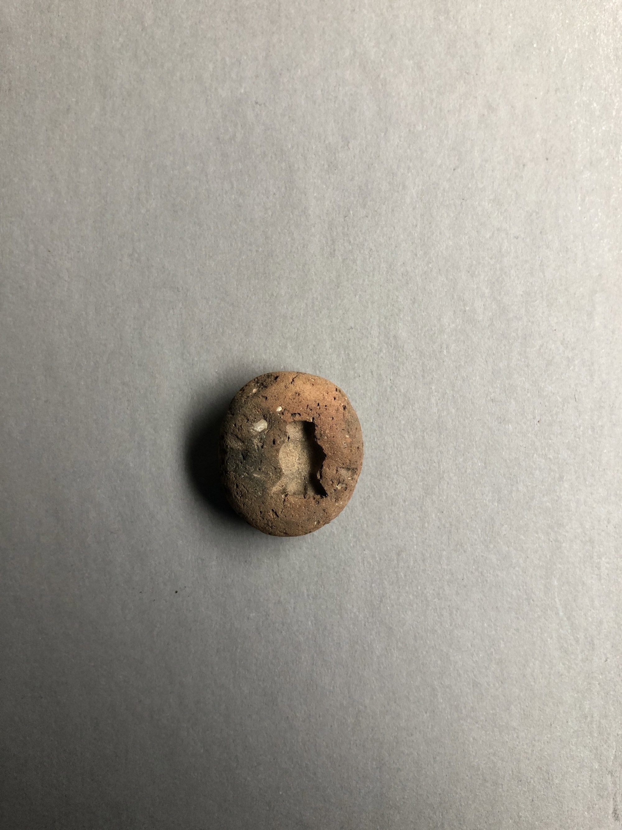 Poppy Seed Head Pendant Mold
