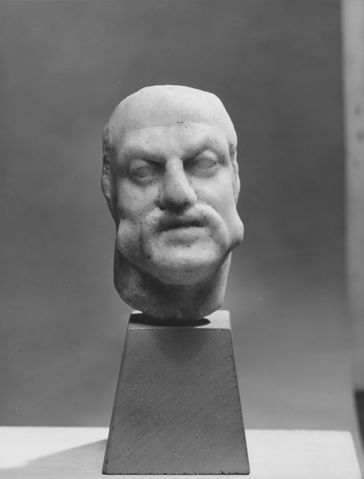 Male Head