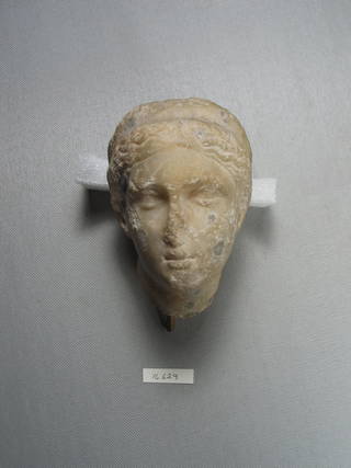 Head of a Woman