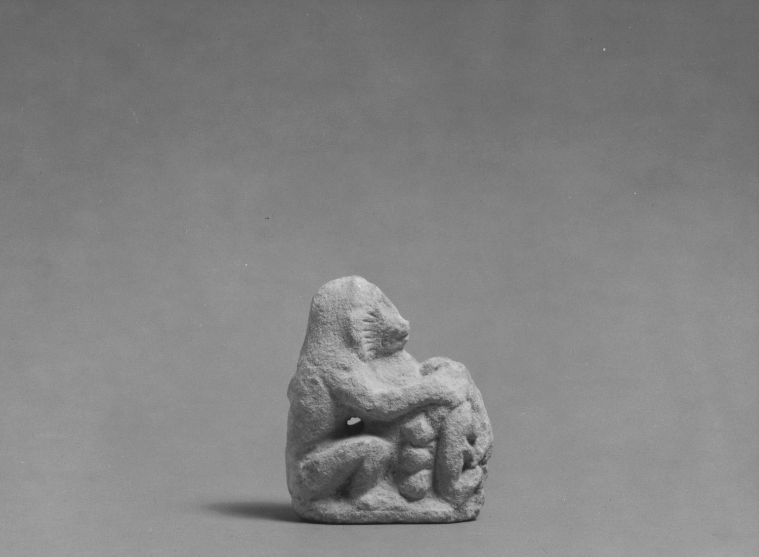 Group of Monkeys