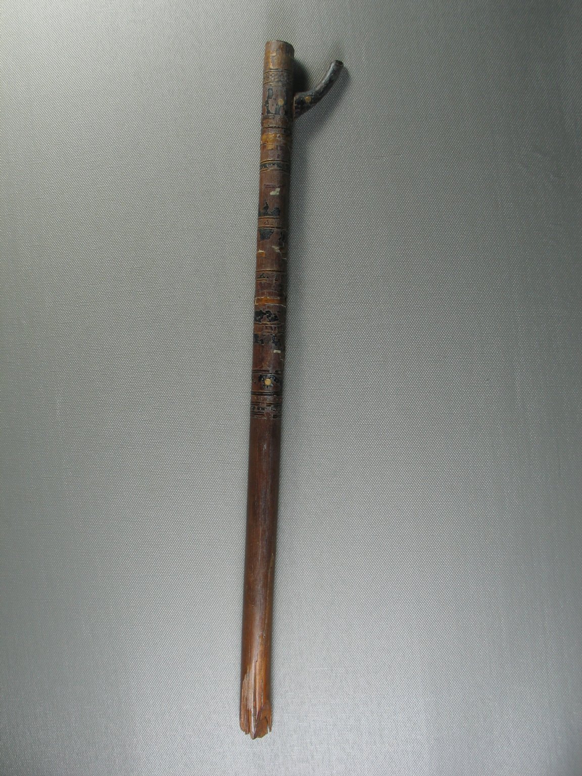 Walking Stick