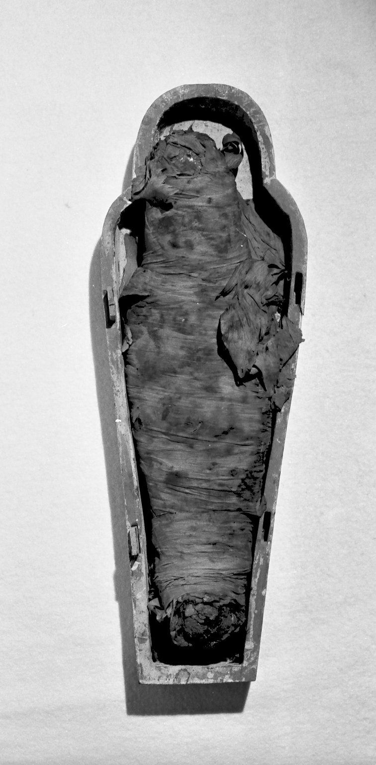 Corn Mummy · Brooklyn Museum