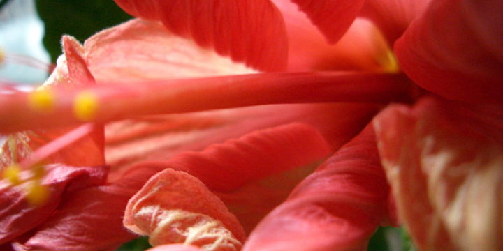 Abd Humud Muhawish · Brooklyn Museum