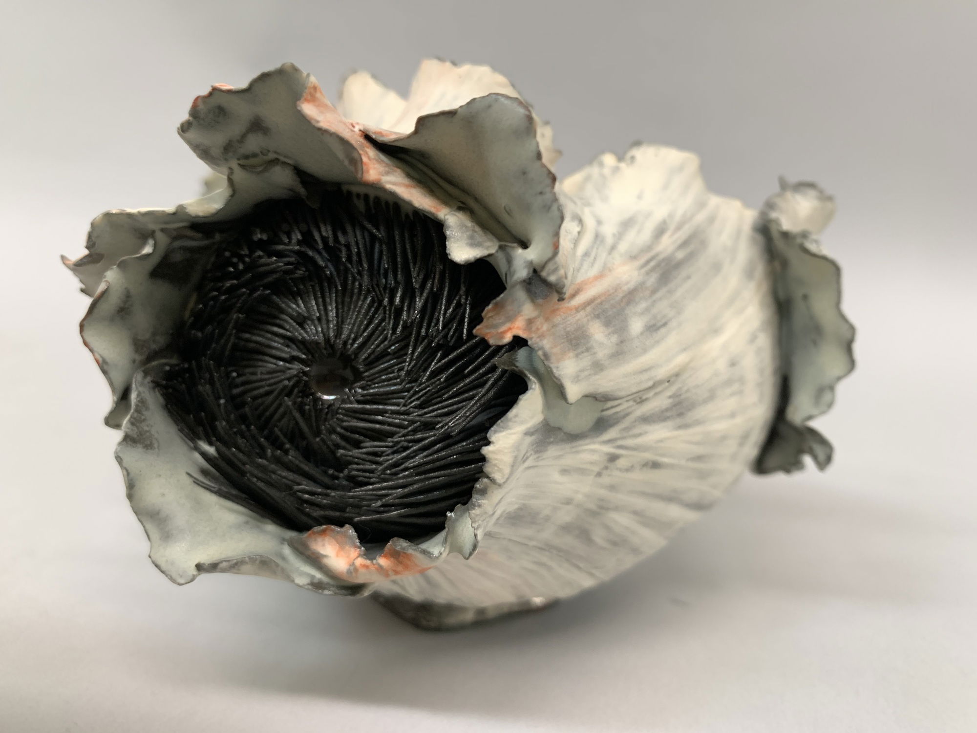 YERUSHALMI Solum Sessile Oak 未開栓　希少 Brooklyn Museum · Search Collection