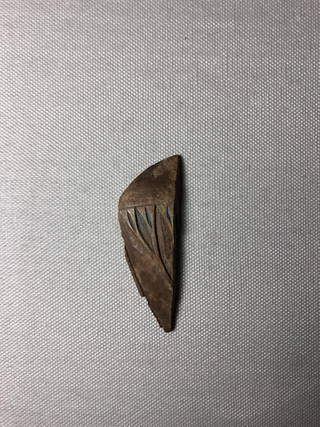 Toilet Spoon Fragment