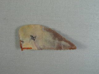 Saw Blade