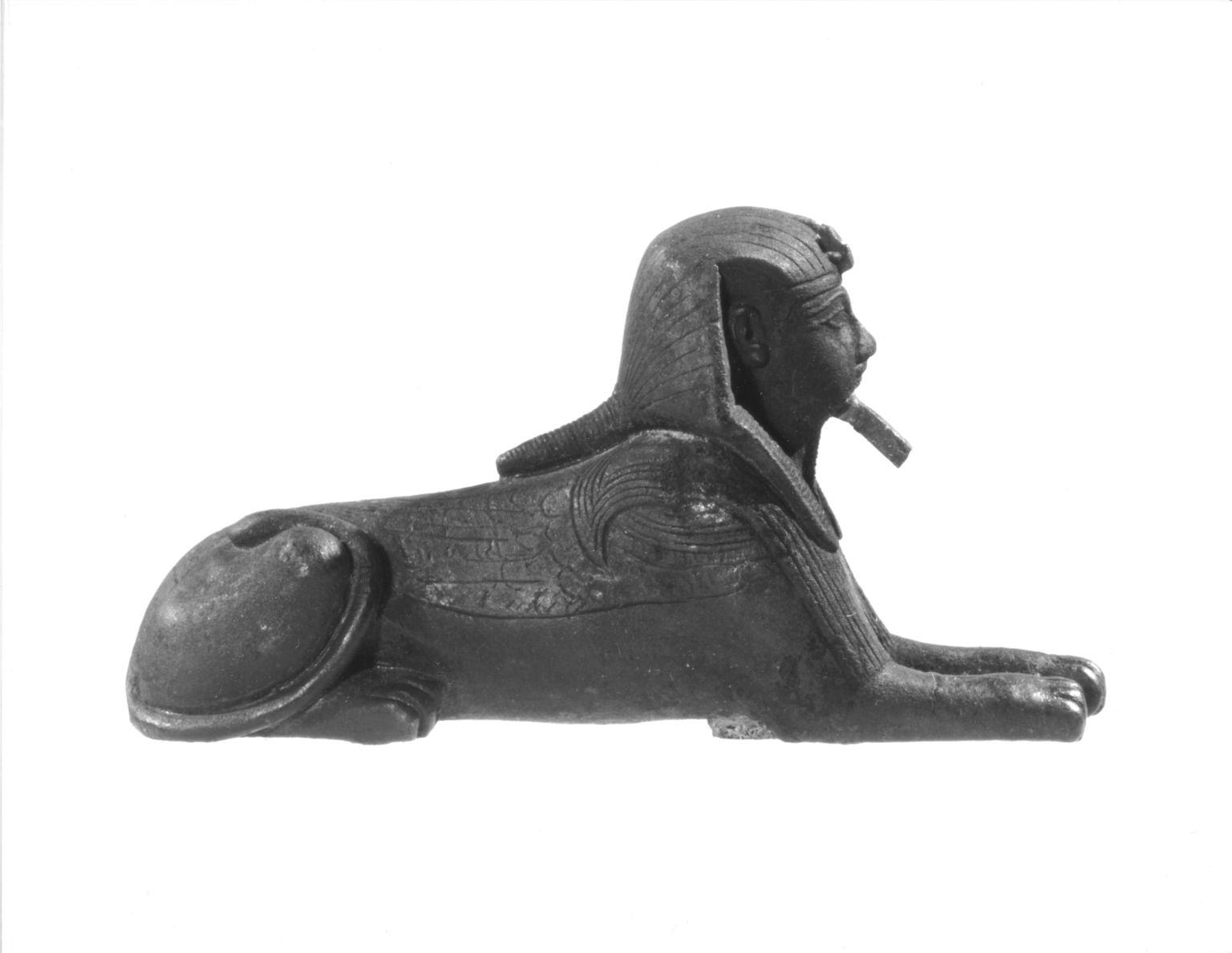 CUR.33.586_NegH_bw.jpg?width=