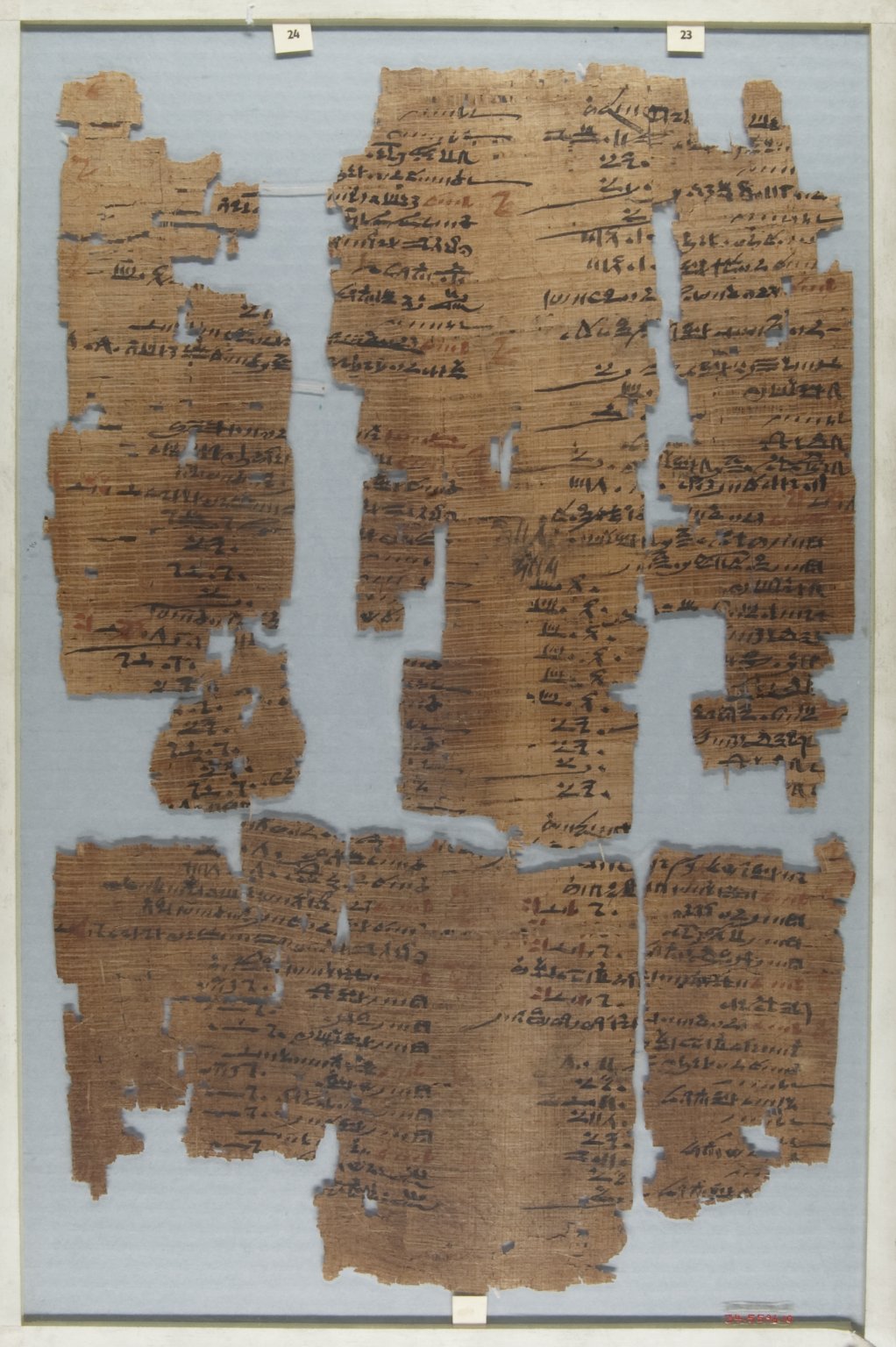 The Wilbour Papyrus
