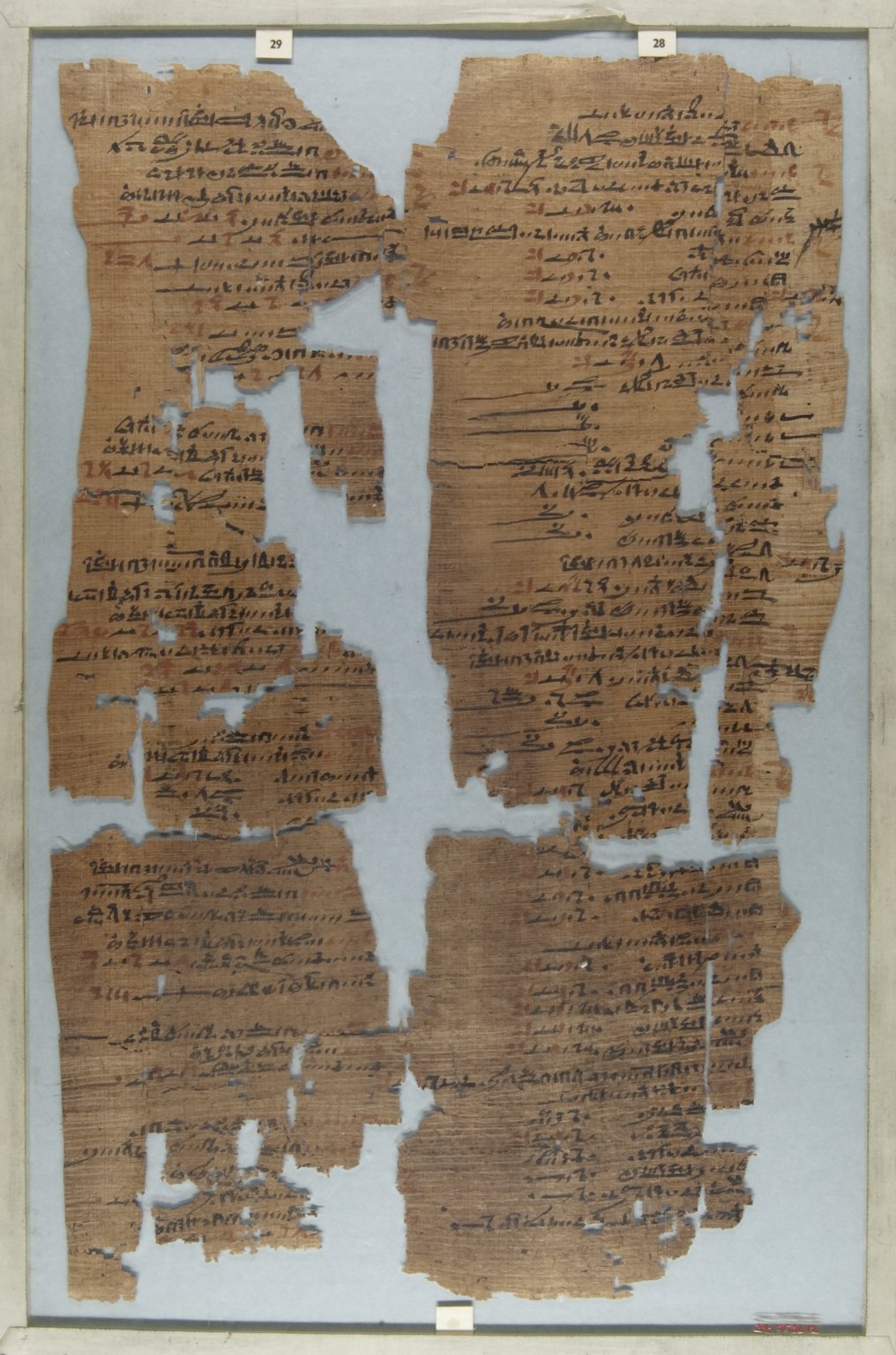The Wilbour Papyrus