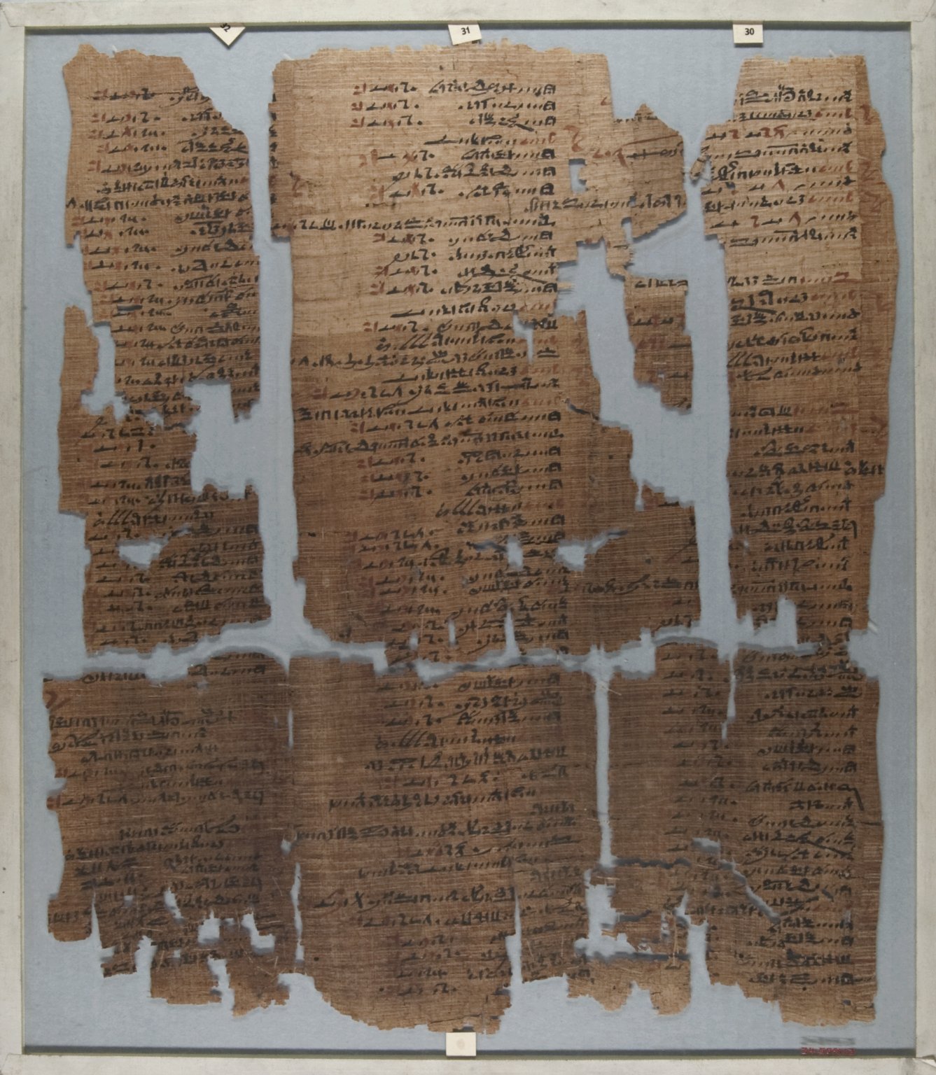 The Wilbour Papyrus