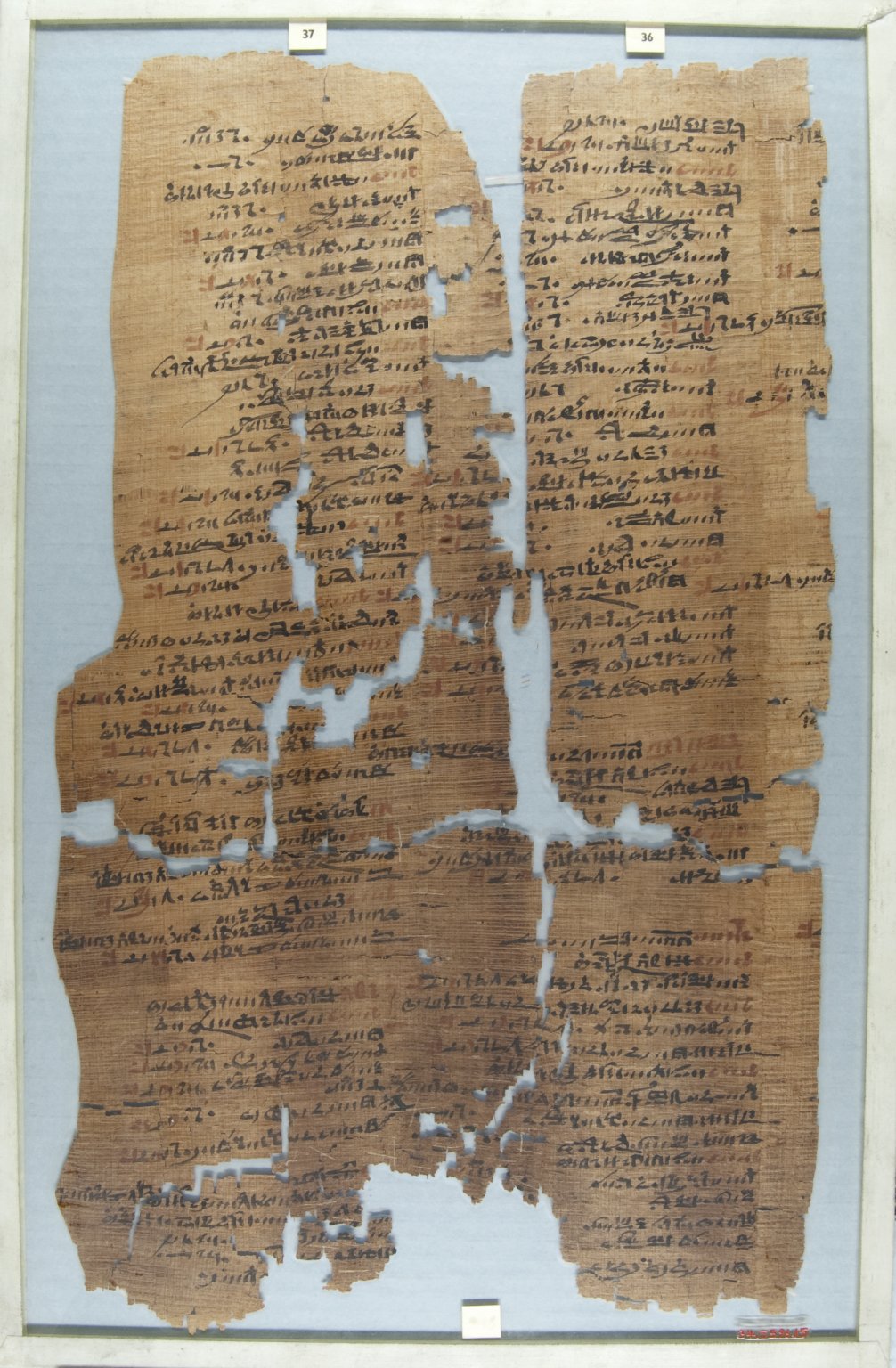 The Wilbour Papyrus