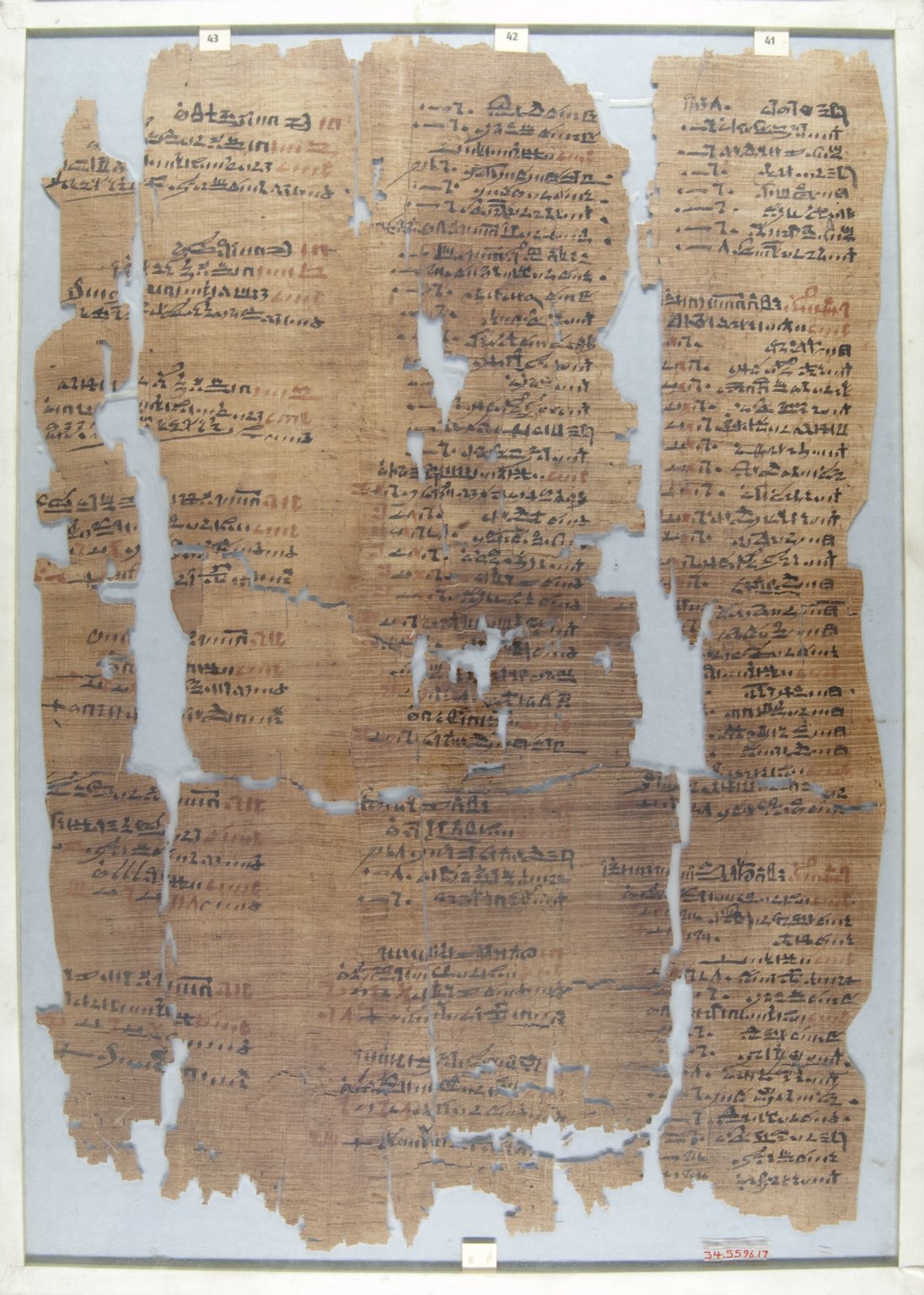 The Wilbour Papyrus