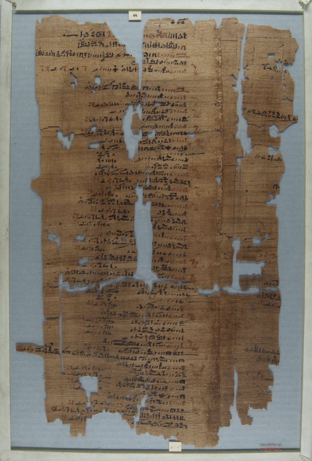 The Wilbour Papyrus