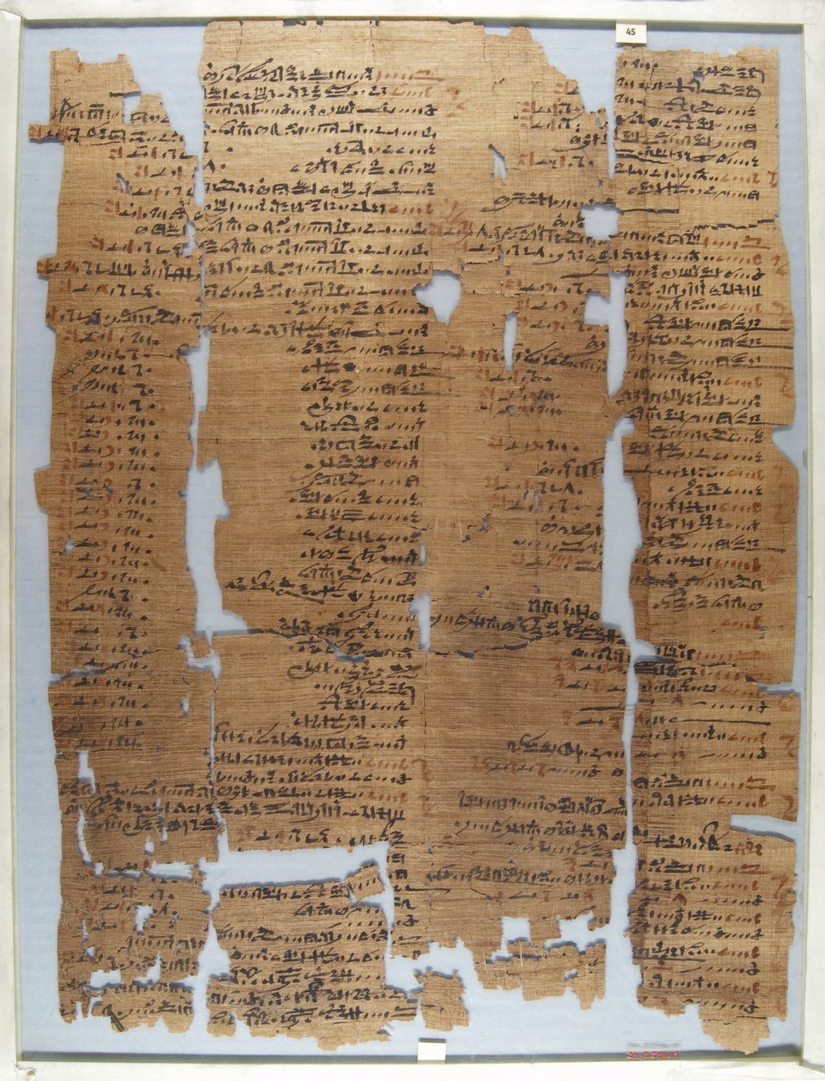 The Wilbour Papyrus