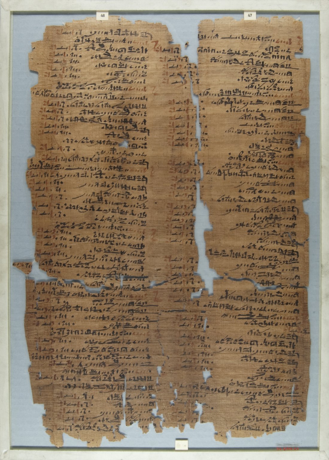 The Wilbour Papyrus
