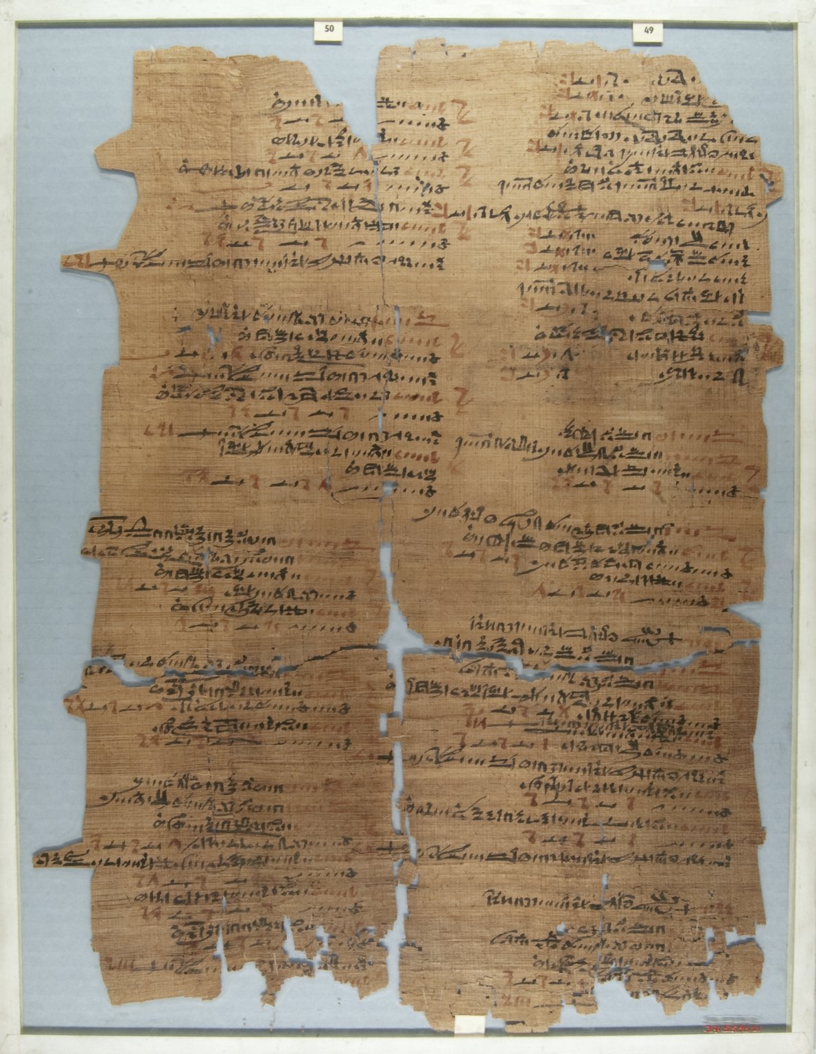 The Wilbour Papyrus