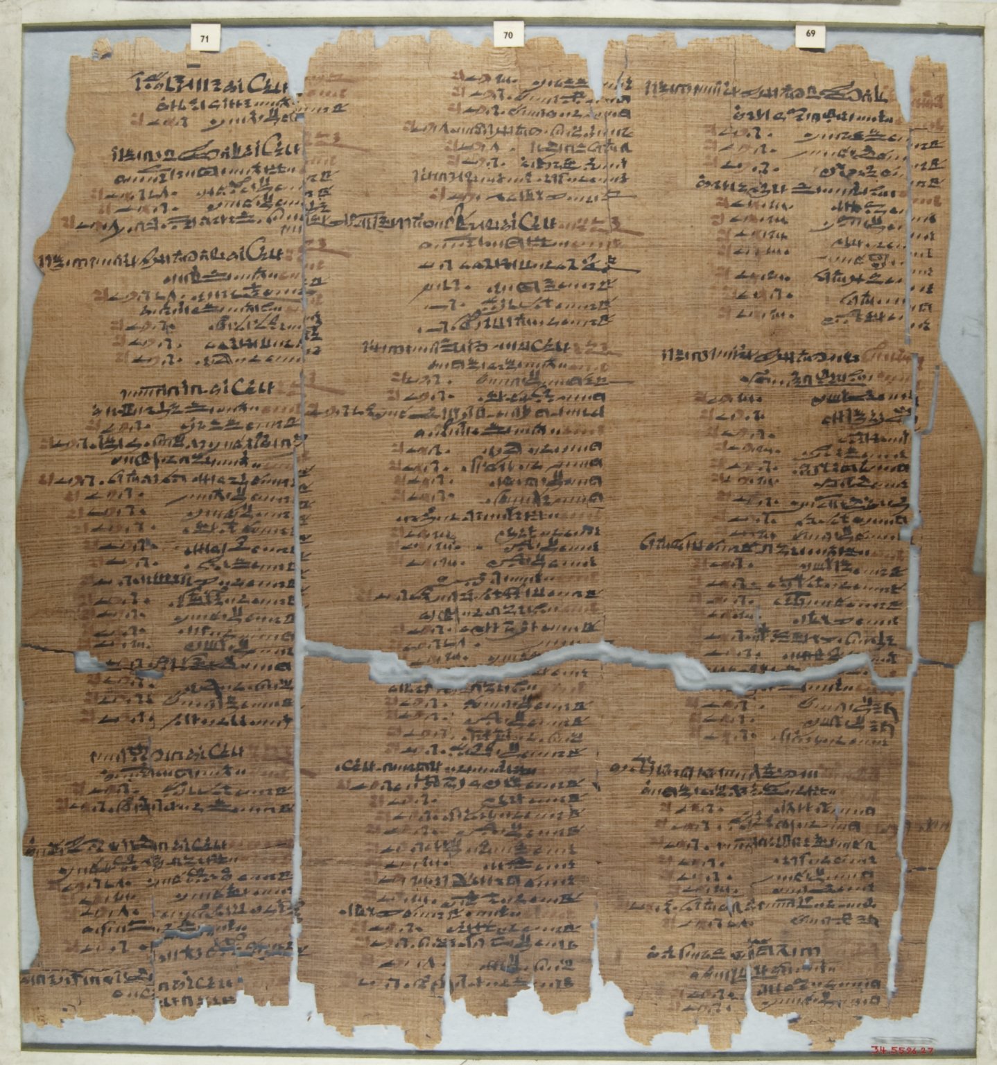 The Wilbour Papyrus