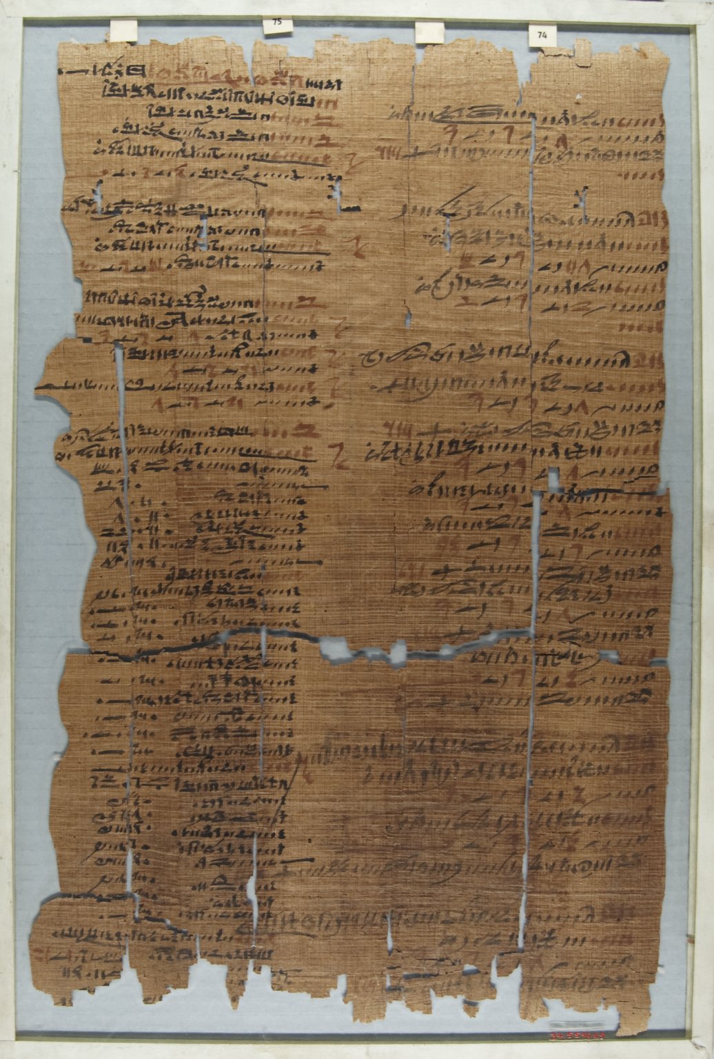 The Wilbour Papyrus